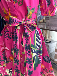 Raspberry Bloom Skyla Dress