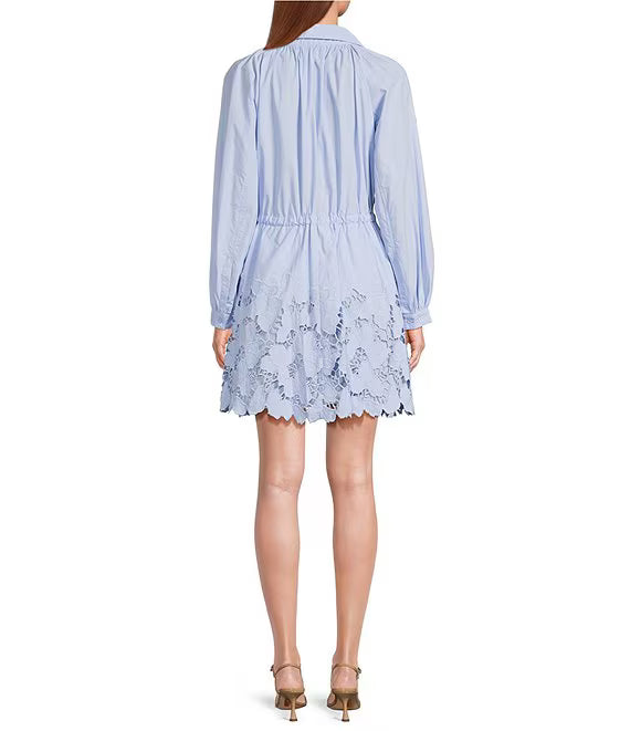 Lucy Embroidered Mini Dress