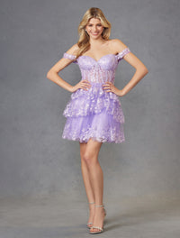 Lilac Tulle Embellished Dress