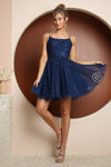 Navy Tulle A-Line Dress