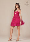 Roseberry Tulle Mini Dress