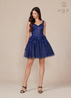 Navy A-Line Tulle Dress