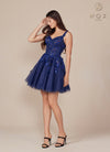 Navy A-Line Tulle Dress