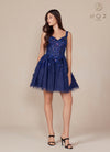 Navy A-Line Tulle Dress