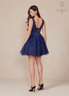 Navy A-Line Tulle Dress