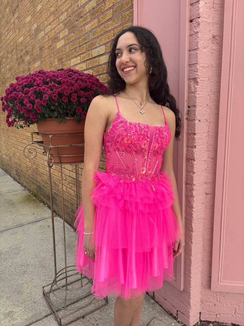 Hot Pink Corset Tulle Dress