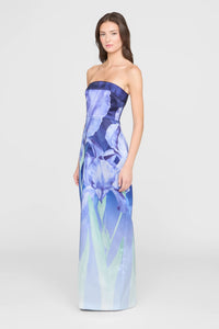 Cyrilla Strapless Column Gown