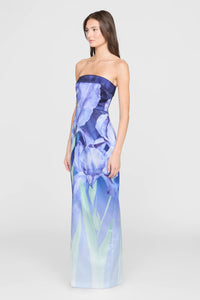 Cyrilla Strapless Column Gown