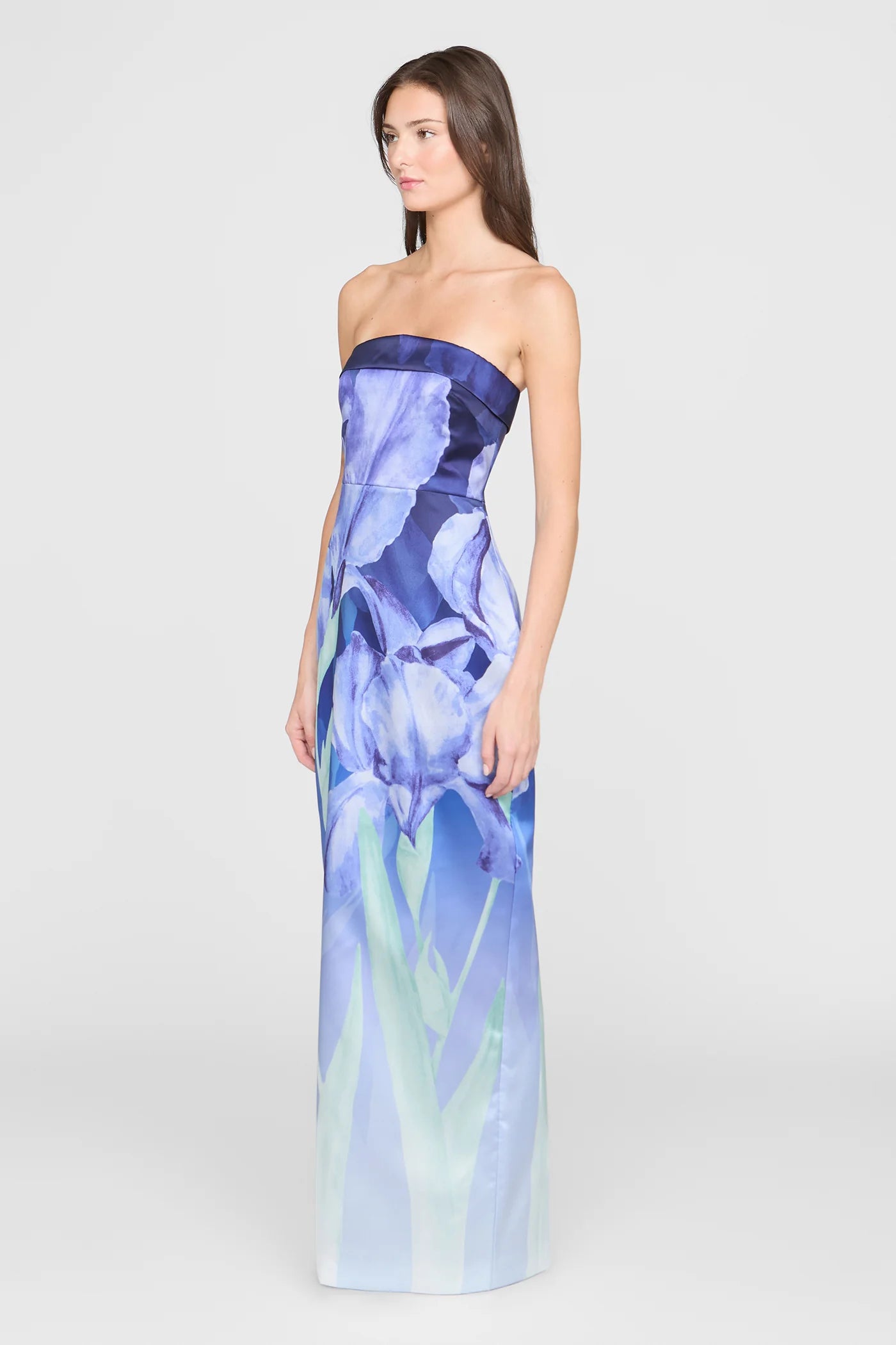 Cyrilla Strapless Column Gown