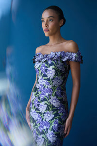 Olyssia Fit & Flare Gown