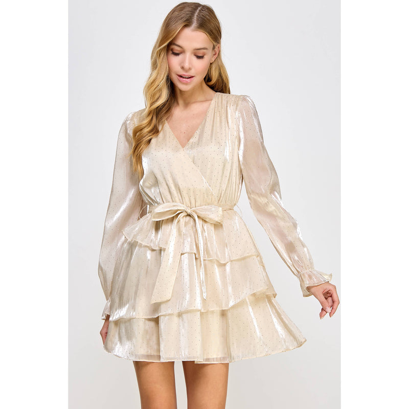 Karma Studded Shimmer Organza Mini Dress