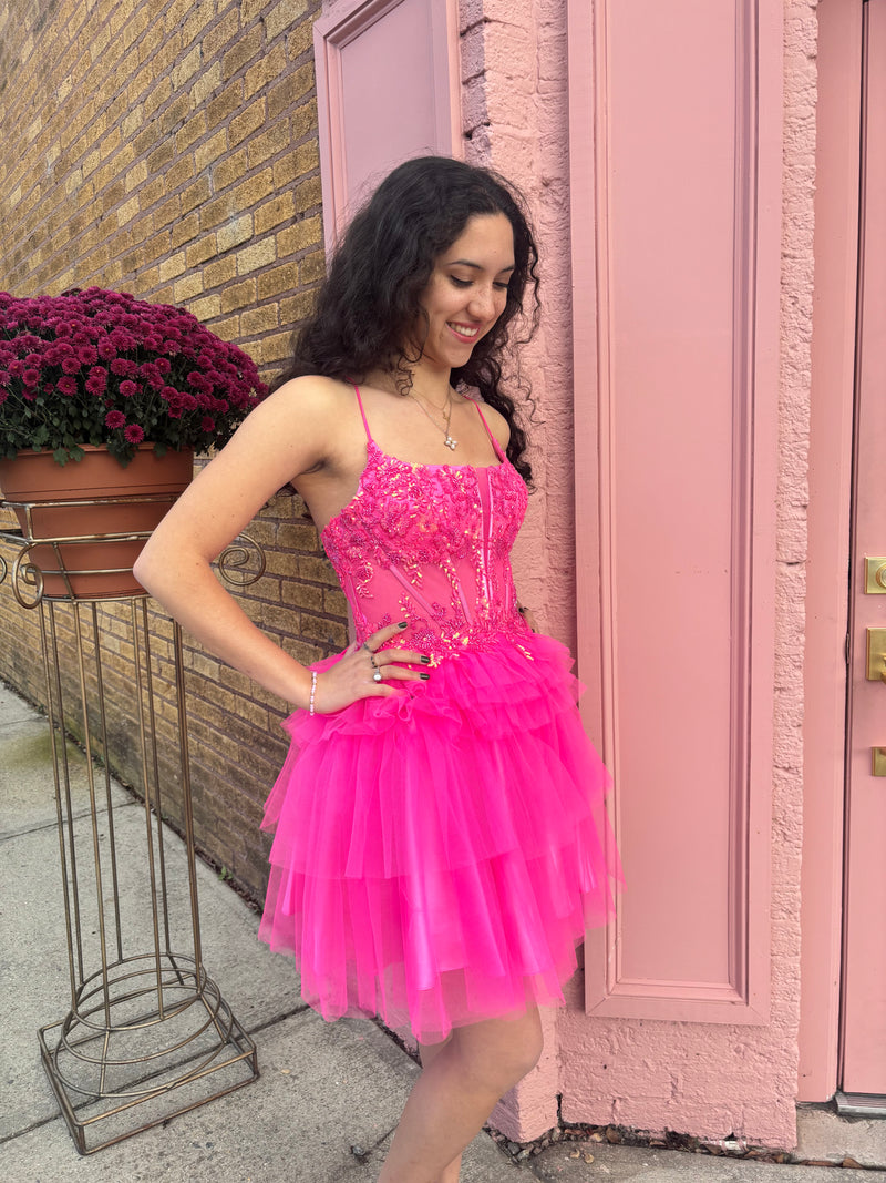 Hot Pink Corset Tulle Dress