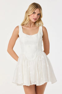 Reina Embroidered White Mini Dress