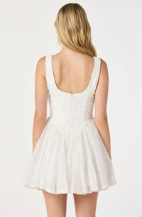 Reina Embroidered White Mini Dress