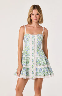 Skye Floral Lace Mini Dress