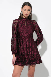 Elinor Velvet Burnout Mockneck Dress