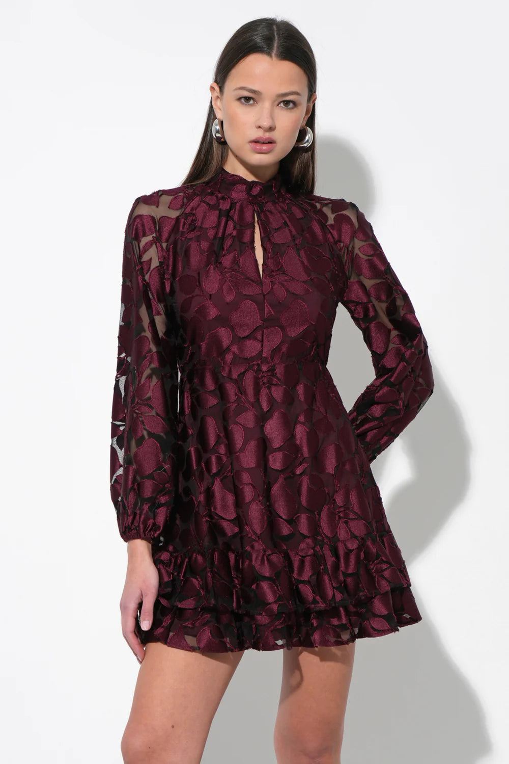 Elinor Velvet Burnout Mockneck Dress