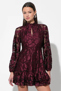Elinor Velvet Burnout Mockneck Dress
