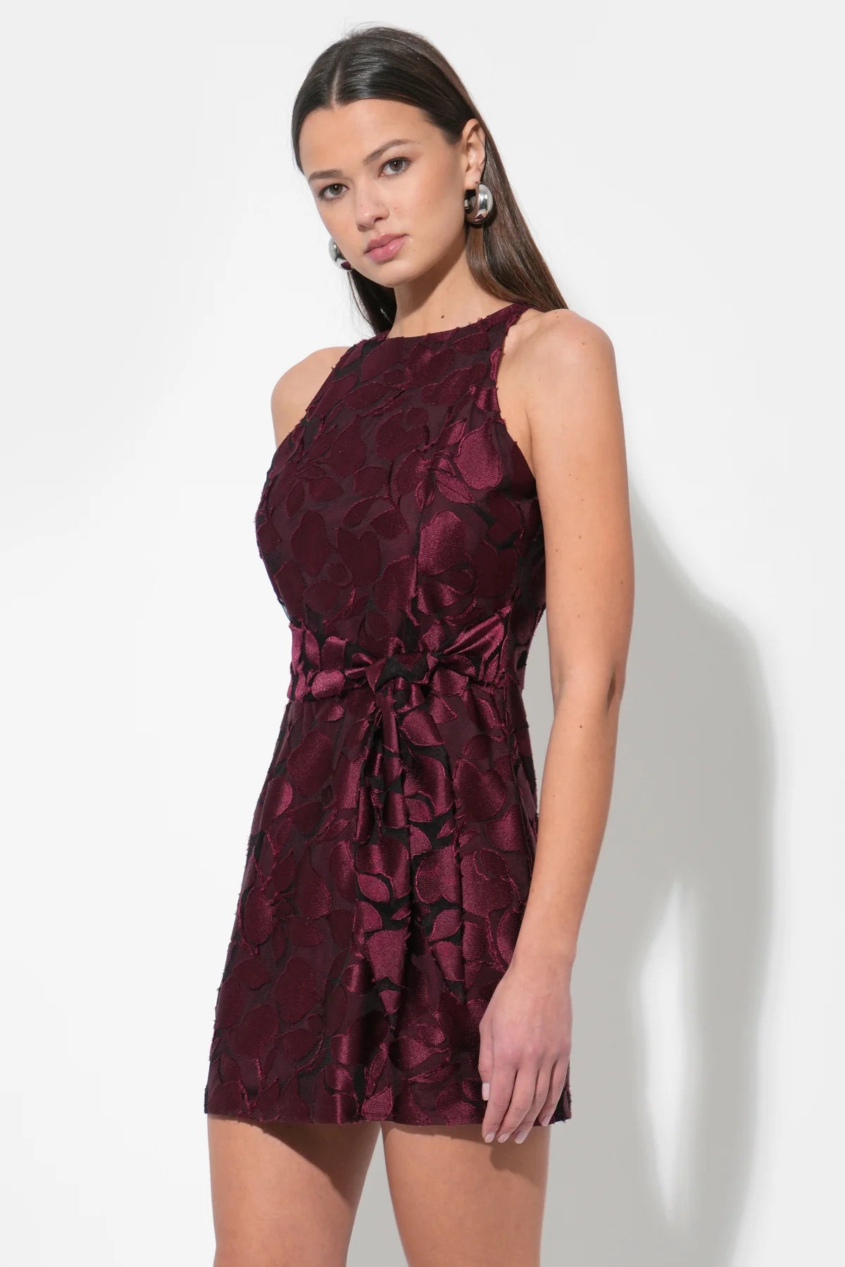 Falini Velvet Burnout Mini Dress