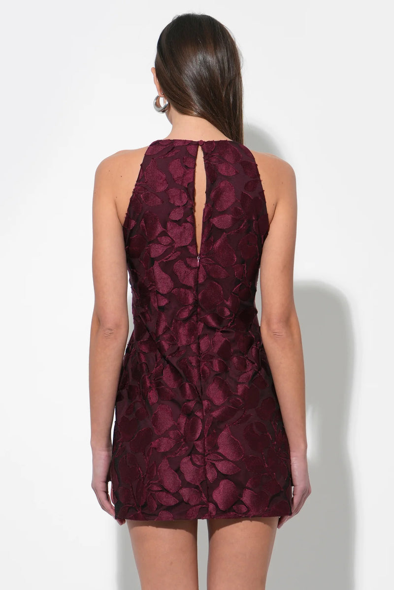 Falini Velvet Burnout Mini Dress