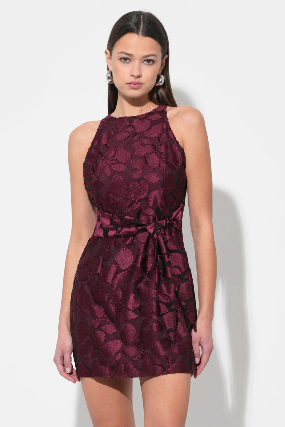 Falini Velvet Burnout Mini Dress