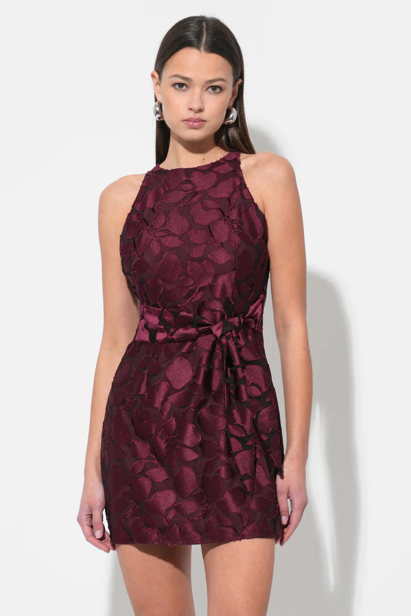 Falini Velvet Burnout Mini Dress