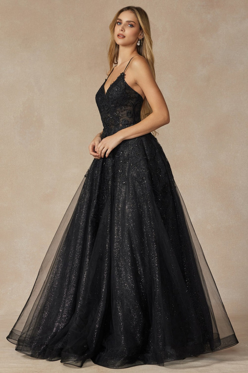 Embroidered Bodice Ball Gown | Black