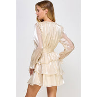 Karma Studded Shimmer Organza Mini Dress