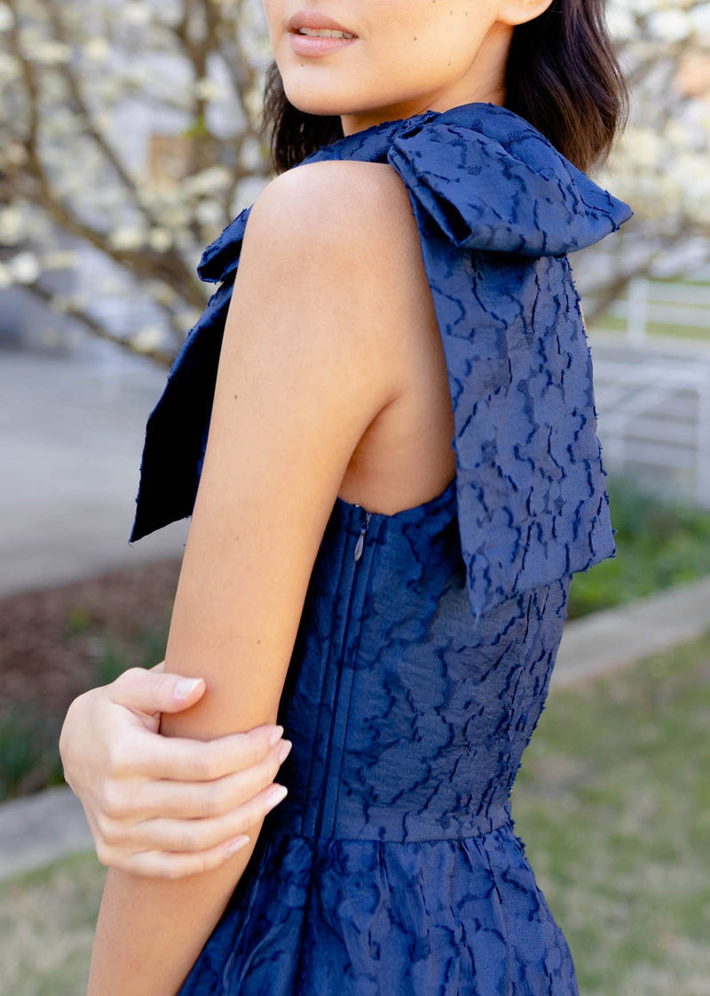 Caroline Gown - Navy Cloud Organza