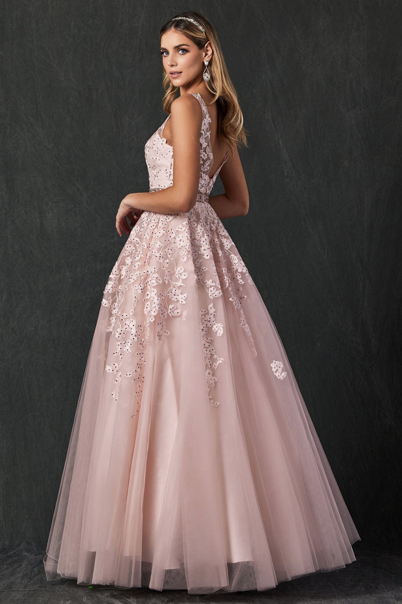 Floral Applique Ballgown | Blush