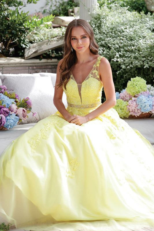 Floral Applique Ballgown | Yellow