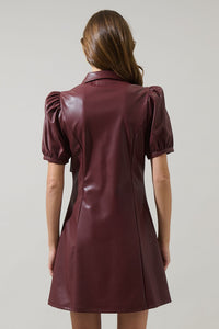 Anisa Leather Mini Dress