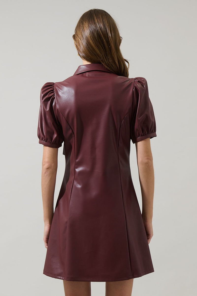 Anisa Leather Mini Dress