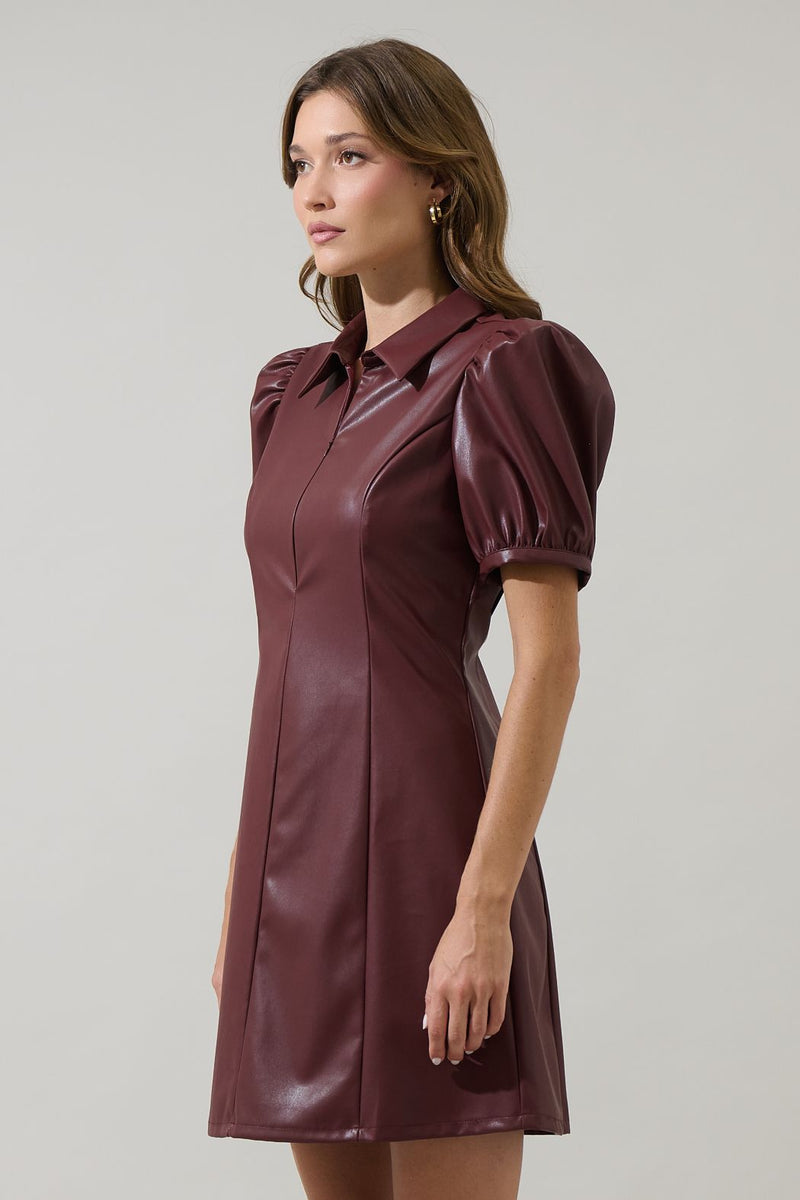 Anisa Leather Mini Dress