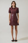 Anisa Leather Mini Dress