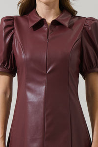 Anisa Leather Mini Dress