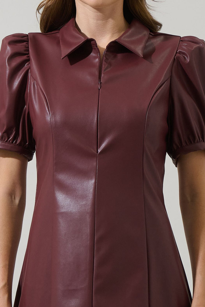 Anisa Leather Mini Dress