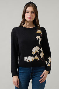 Nathalia Long Sleeve Sweater