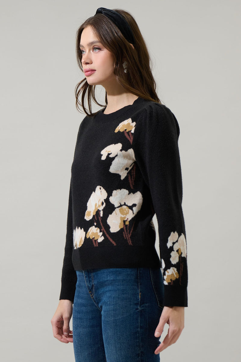 Nathalia Long Sleeve Sweater